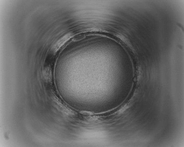 X0000099490969200806051055