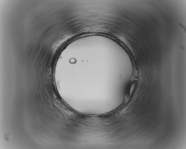 X0000099490971200806051055