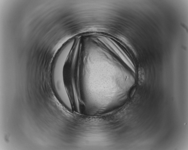 X0000099490972200806051055