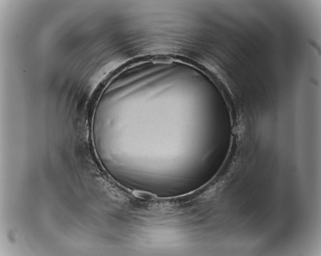 X0000099490973200806051055