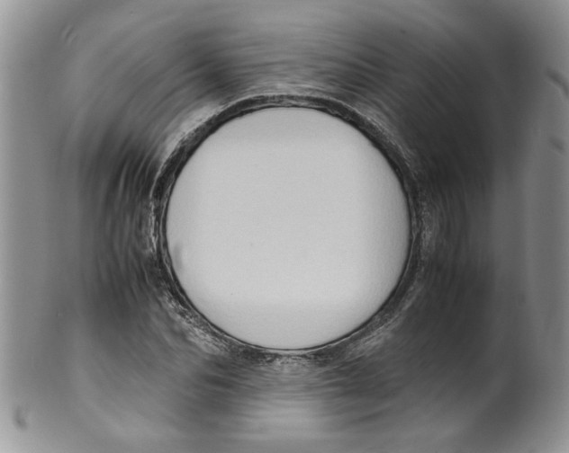 X0000099490974200806051055