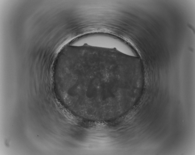 X0000099490975200806051055