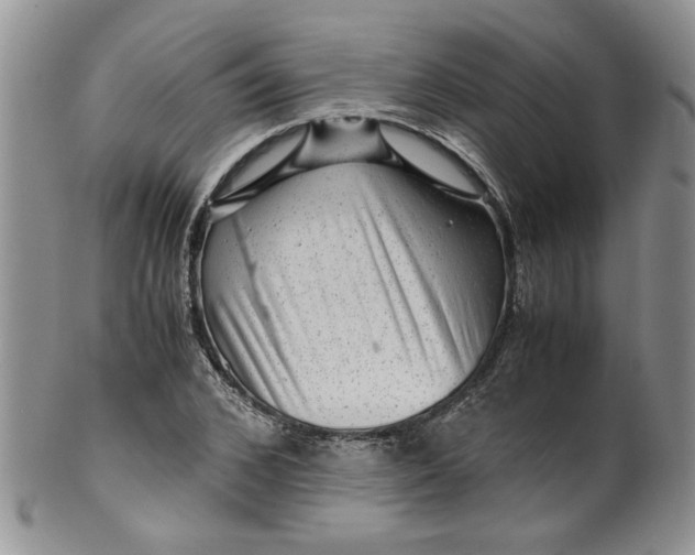 X0000099490976200806051055