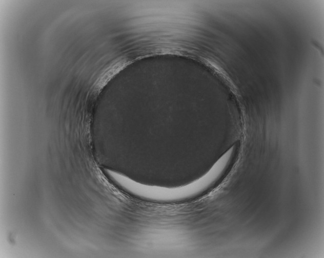 X0000099490977200806051055