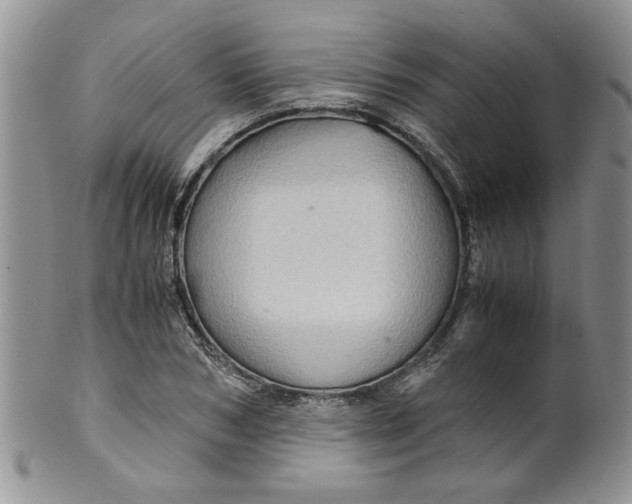 X0000099490978200806051055