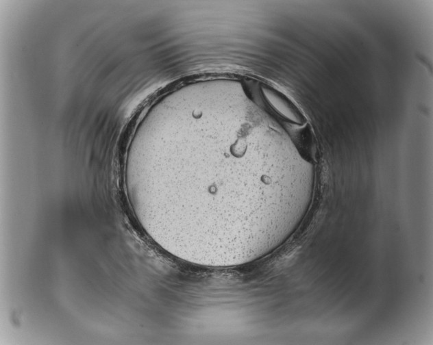 X0000099490979200806051055