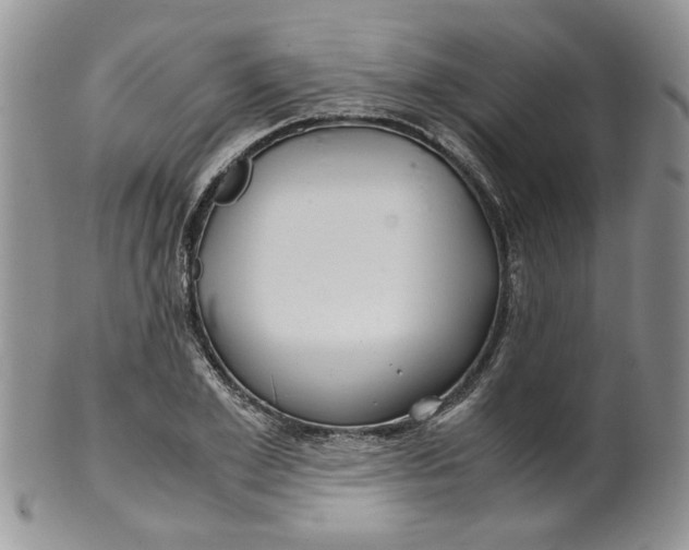 X0000099490981200806051055