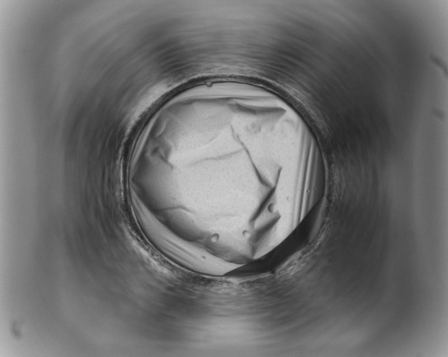 X0000099490982200806051055