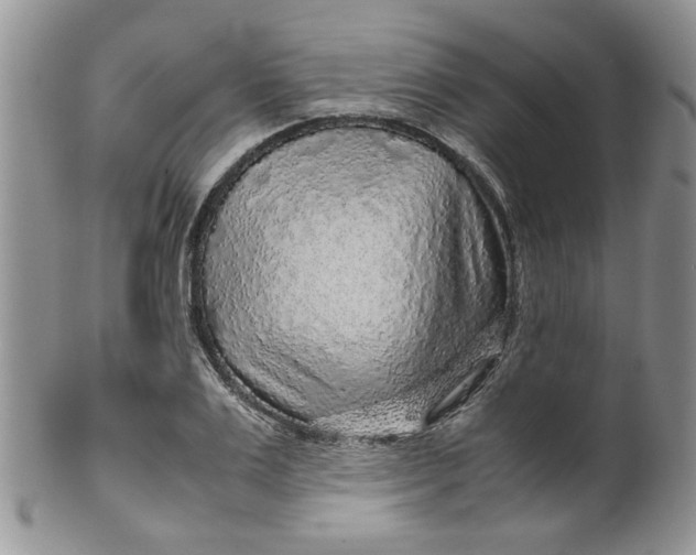 X0000099490983200806051054