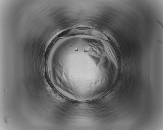 X0000099490984200806051054