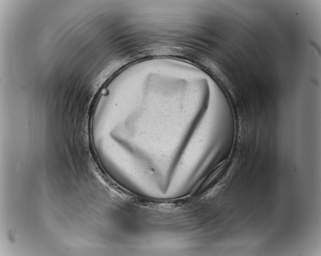 X0000099490986200806051054