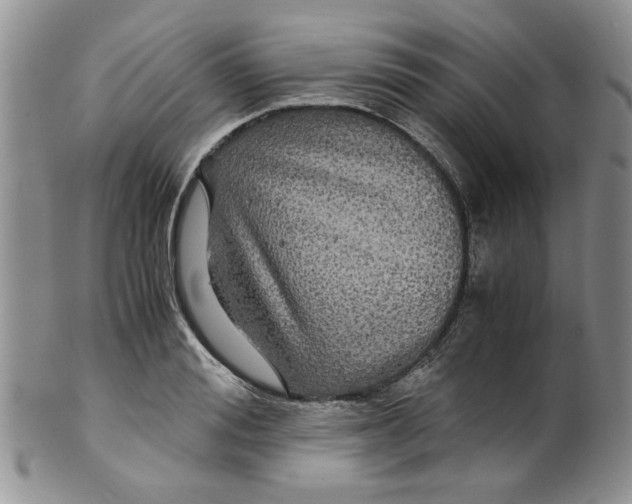 X0000099490988200806051054