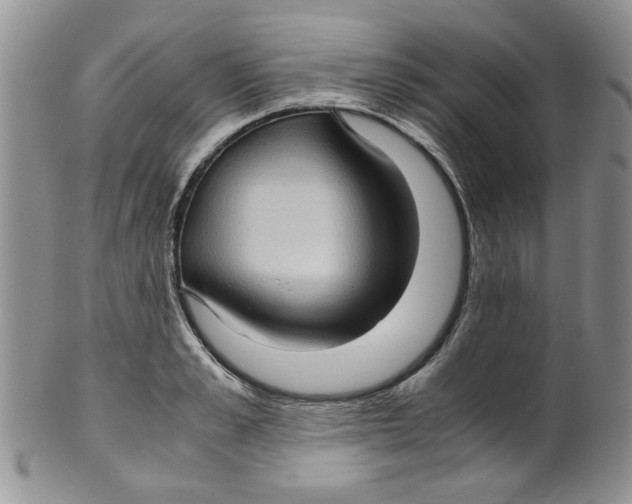 X0000099490989200806051054