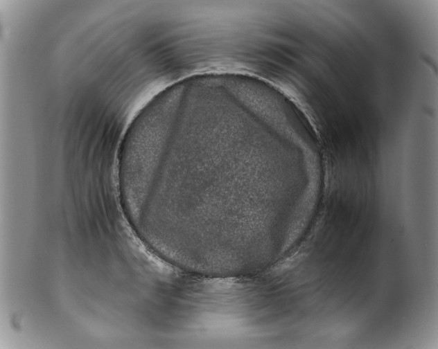 X0000099490990200806051054