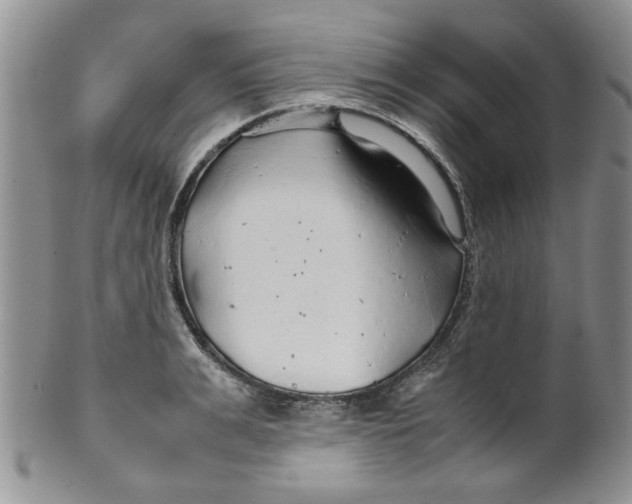 X0000099490991200806051054