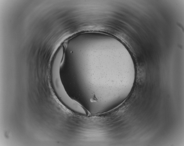 X0000099490992200806051054