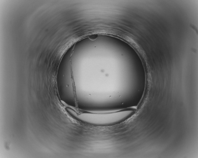 X0000099490993200806051054