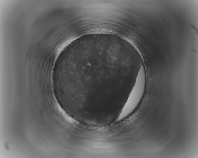 X0000099490995200806051054