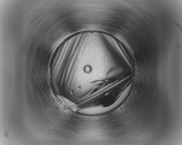 X0000099490996200806051054