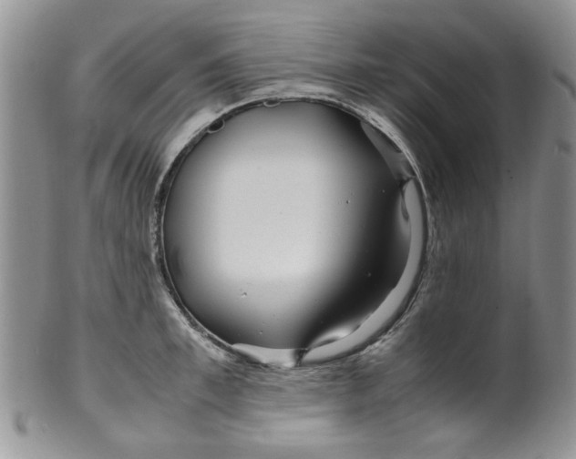 X0000099490997200806051054