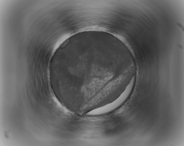 X0000099490998200806051054