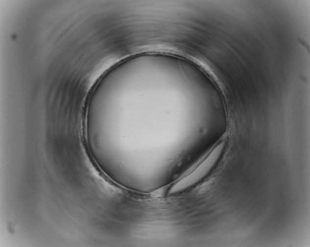 X0000099490999200806051054