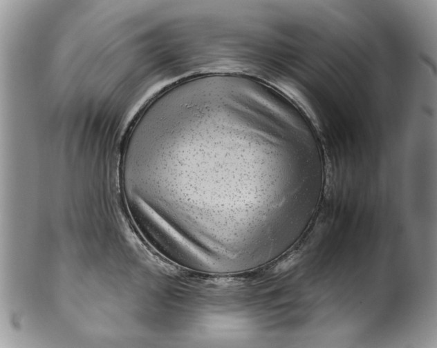 X0000099491000200806051054