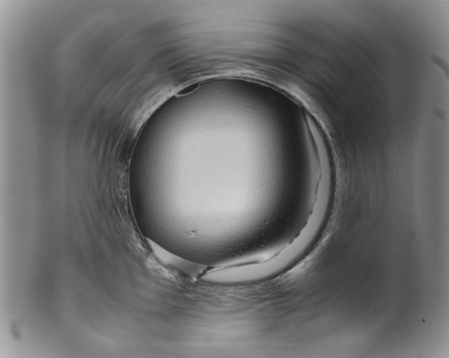 X0000099491001200806051054