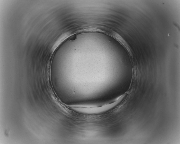 X0000099491002200806051054