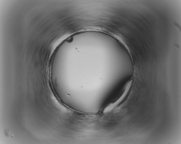 X0000099491003200806051054