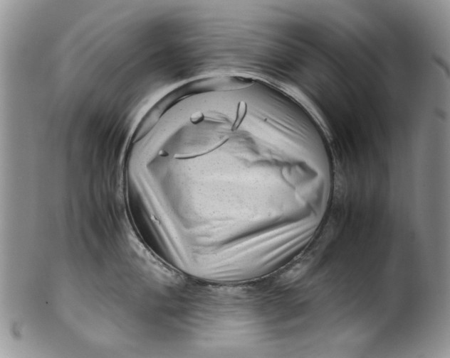 X0000099491004200806051054