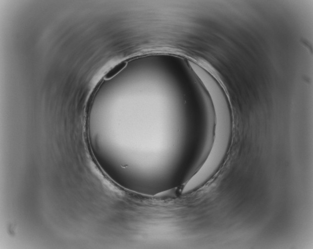 X0000099491005200806051054