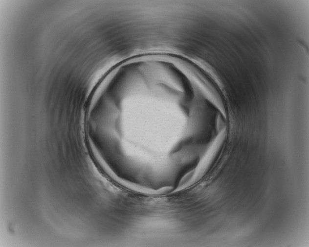 X0000099491006200806051054