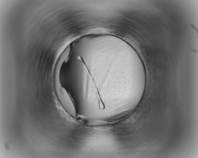 X0000099491008200806051054