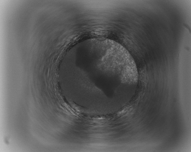 X0000099491009200806051053