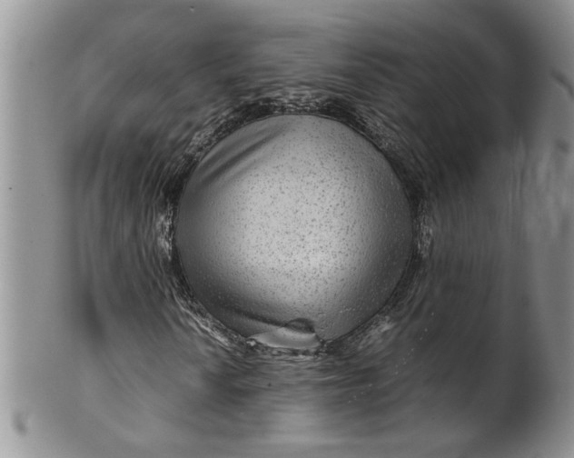 X0000099491010200806051053