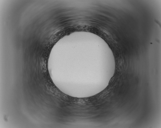 X0000099491013200806051054