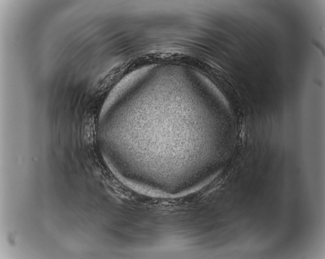 X0000099491014200806051054