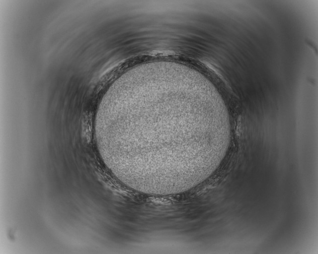 X0000099491015200806051054