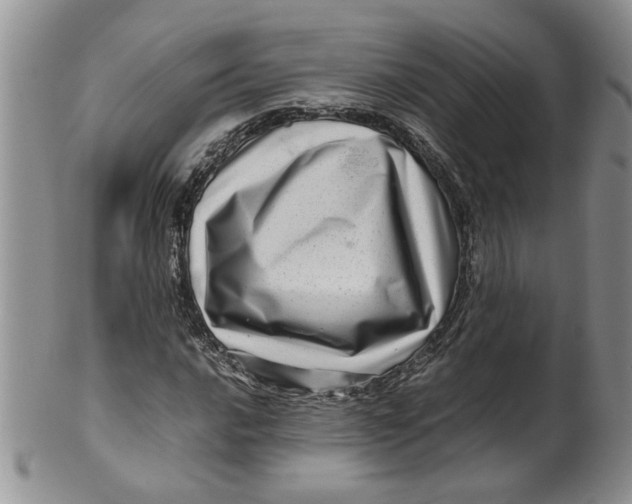 X0000099491016200806051054