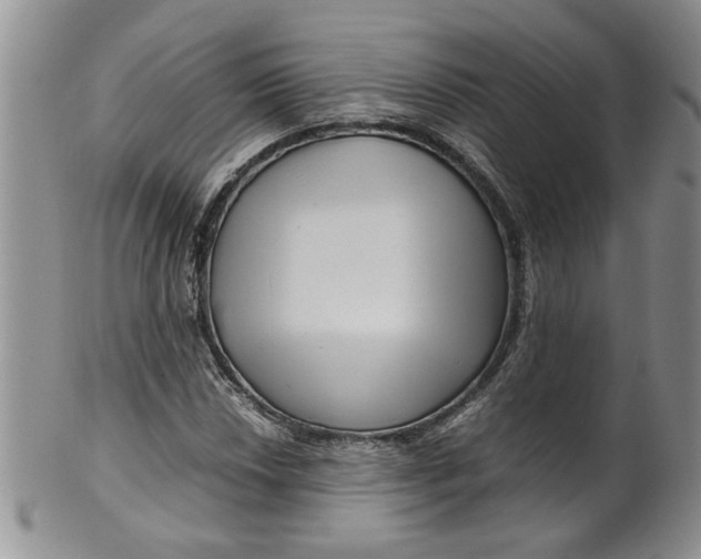 X0000099491018200806051054