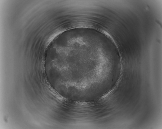 X0000099491019200806051054