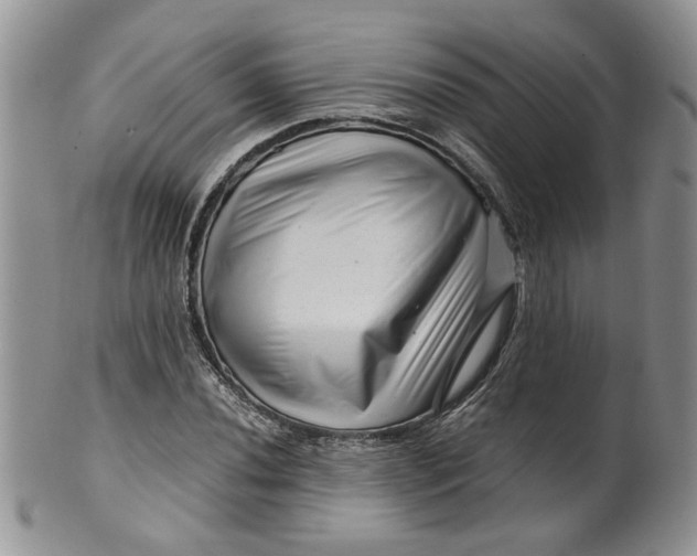 X0000099491020200806051054