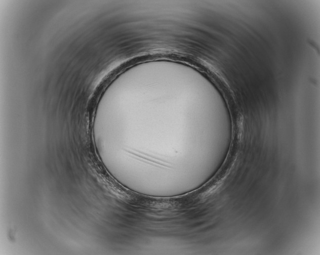 X0000099491021200806051054