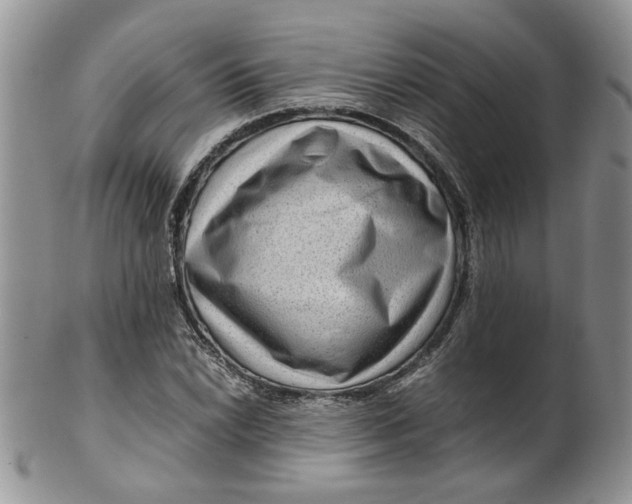 X0000099491022200806051054