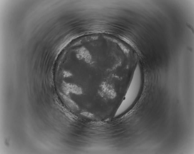 X0000099491023200806051054