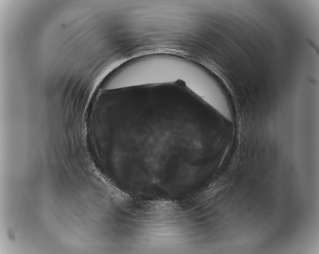 X0000099491024200806051054