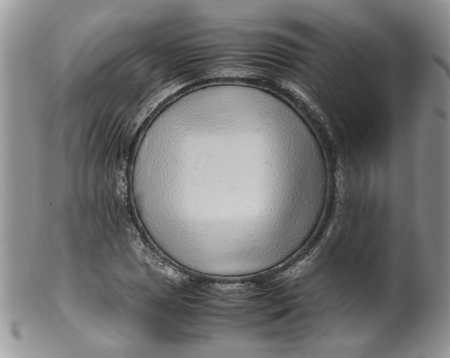 X0000099491025200806051054