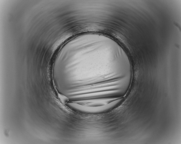 X0000099491026200806051054