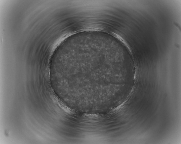 X0000099491027200806051054